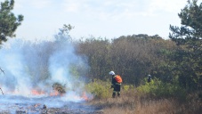 Под Севастополем случился крупный пожар на открытой территории