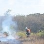 Под Севастополем случился крупный пожар на открытой территории