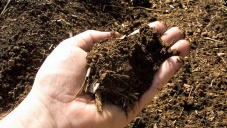 Плодородие почвы в Крыму признали низким
