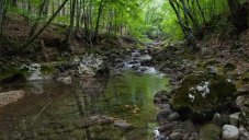 Для водоснабжения Севастополя возьмут воду реки Коккозки