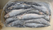 На въезде в Крым не пустили 17 тонн свежемороженой рыбы