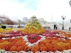 В Севастополе открылся «Бал хризантем»