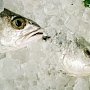 40 тонн рыбы не пустили в Крым