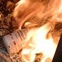 Сотрудники ФСКН сожгли 30 кг изъятых наркотиков