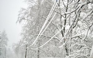 Снегопад обесточил 13 сел в Крыму