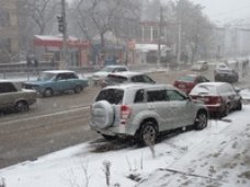 Госкомитет по ценам Крыма пожаловался в ГИБДД на водителей, разрушивших клумбу