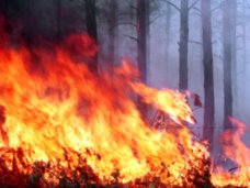 В Крыму началась подготовка к пожароопасному сезону