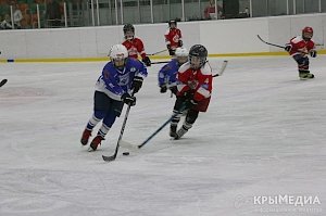 Первый Кубок по хоккею «Русская весна-2015» выиграла команда из Санкт-Петербурга