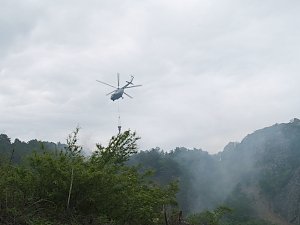 МЧС выставит на борьбу с лесными пожарами в Крыму почти 800 спасателей