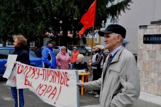 Коммунисты Бердска организовали и провели пикет против отмены прямых выборов