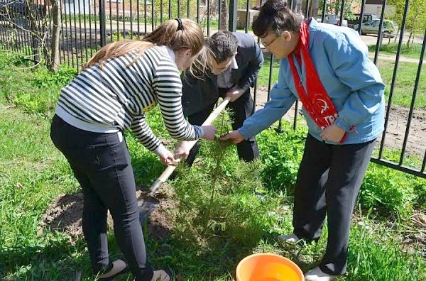 Тульская область. Коммунисты г.Алексина вместе со школьниками высадили деревья в ознаменование 70-летие Победы
