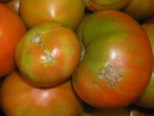 В Крым не пропустили почти 20 тонн помидоров