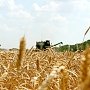 Аграрии приступили в Крыму к уборке зерна