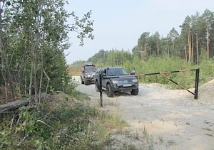 Мошенники начали собирать в Крыму плату за вход в лес