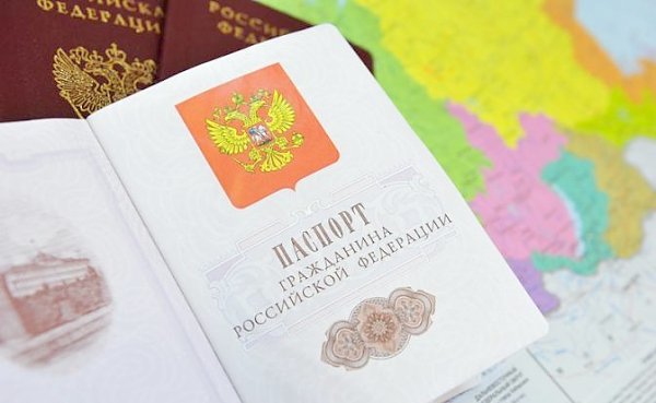 Семь млн. наших людей. Александр Чаленко о выдаче российских паспортов жителям Донбасса