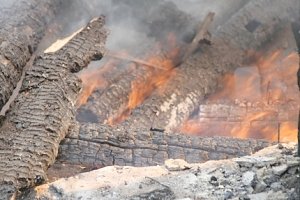 В лесах Севастополя объявлен высший класс пожарной опасности