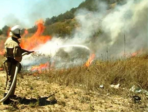 В лесах Севастополя за неделю зафиксировано 12 пожаров и 75 возгораний