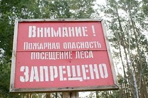 Запрет на посещение Крымских лесов продлен ещё на 21 день