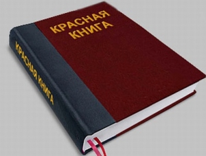 До конца года в республике появится «Красная книга Крыма»