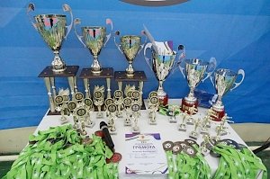 В Столице Крыма с участием каратистов из Украины и России проходит традиционный Кубок «ТЭС»