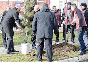В Министерстве внутренних дел по Республике Крым высадили аллею боевой славы