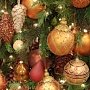 В крымской столице торжественно откроют Вологодскую елку