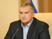 Сергей Аксёнов поручил применять самые жёсткие меры к организаторам незаконных мусорных свалок