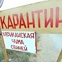 Карантинную зону в связи с АЧС расширили на весь Крым