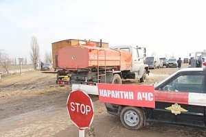 МЧС России держит на контроле ситуацию с африканской чумой свиней в Раздольненском районе