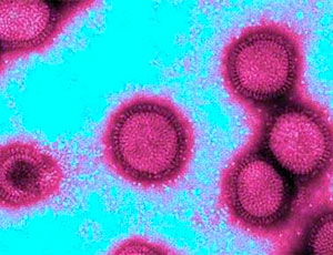Крымчан весной ожидает вторая волна гриппа