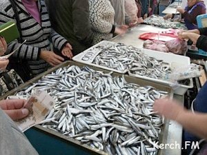 В Крыму планируют открыть рыбную биржу