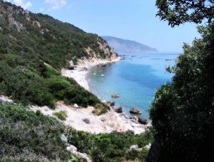 Закрывать нудистские пляжи в Крыму не будут — Аксенов