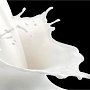 Молочный бунт: крымские молокозаводы отказываются закупать сырье у местных фермеров