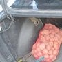 В праздничные дни в Крым из Украины пытались провезти 700 кг растительной продукции