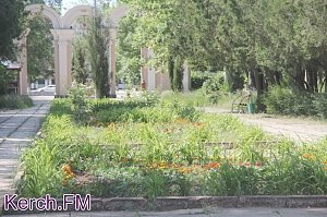 В Керчи в Молодежном парке высадили цветы