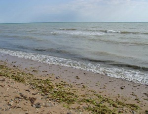 «Купание запрещено»: в Евпатории опасны для жизни 40% общедоступных пляжей