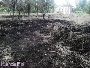 В Керчи в Приморском парке продолжает гореть трава