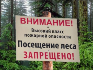 Крымские леса в связи с пожарной опасностью закрыты на 21 день
