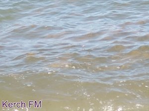 В Азовском море в Курортном появились желтые маслянистые пятна