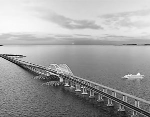 Учёные: Керченский мост пока не вредит Азово-Черноморской экосистеме