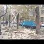 В Столице Крыма продолжают пилить деревья