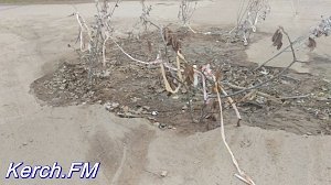 В Керчи уже второй месяц на дороге – огромная яма после ремонта водовода