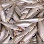 Новый технический регламент на рыбную продукцию заставить рассказать правду о шпротах