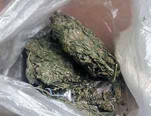 В одном из гаражей Крыма нашли залежи марихуаны