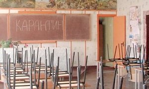 Классы в 19 школах Севастополя закрыли на карантин