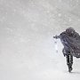 Арктический циклон несет в Крым снежный шторм