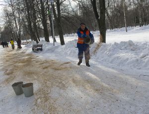 Чиновники Севастополя, отчаявшись справиться с дорожными проблемами, рискнули имуществом горожан и здоровьем их питомцев