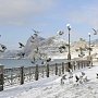 Крымская зима установила рекорд: так рано она никогда не начиналась