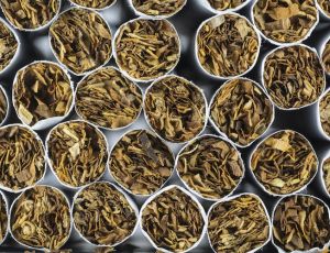 Минздрав сдал назад в вопросе полного запрета табака: «Это гипербола»