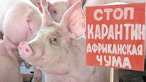 В Крыму отменили карантин по АЧС в Ленинском районе